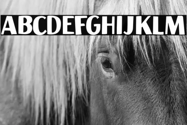 Aficionado DEMO Regular Font examples