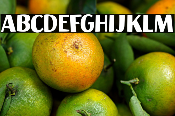 Aficionado DEMO Regular Example 3