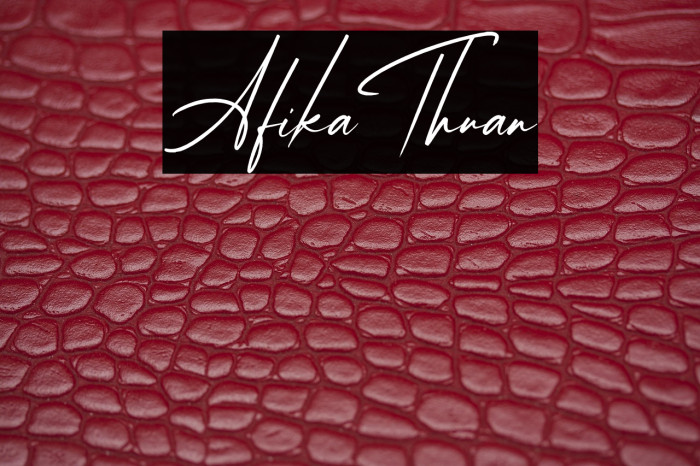 AfikaThuan Example 1