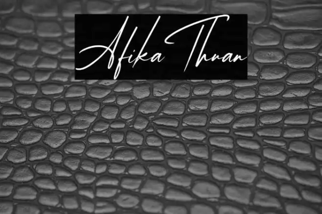 AfikaThuan Example 1