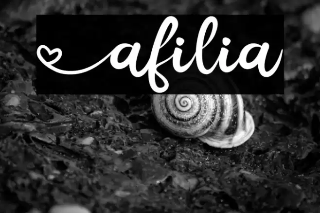 Afilia Font examples