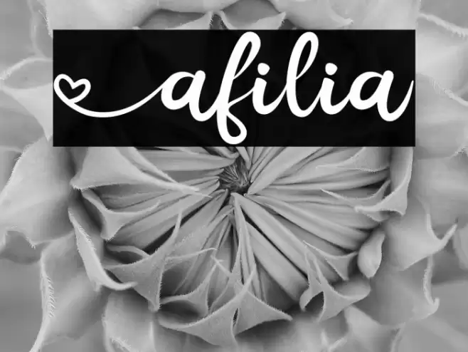 Afilia Font examples