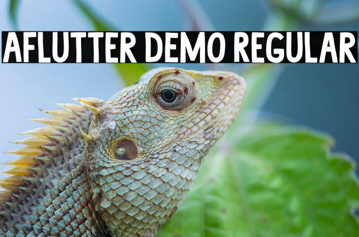 Aflutter DEMO Regular Example 1