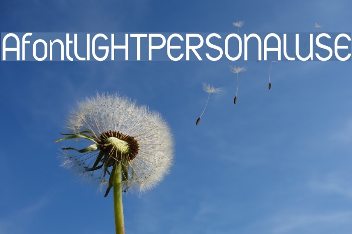 AfontLIGHTPERSONALUSE Font examples