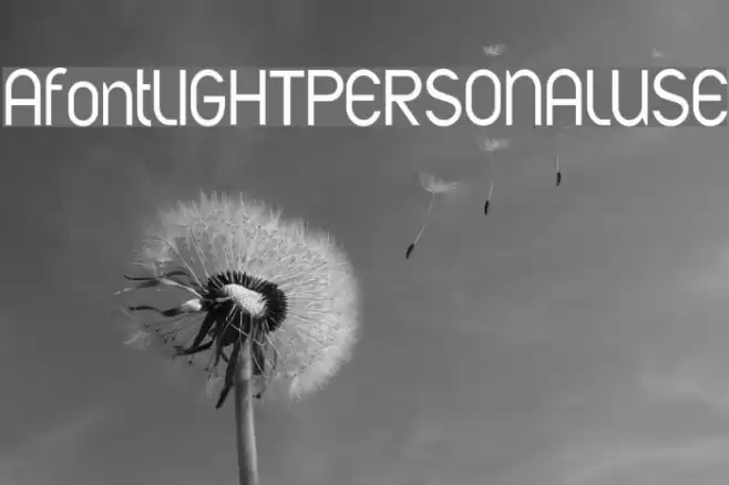 AfontLIGHTPERSONALUSE Font examples