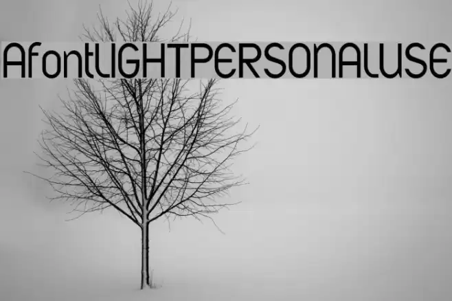 AfontLIGHTPERSONALUSE Font examples