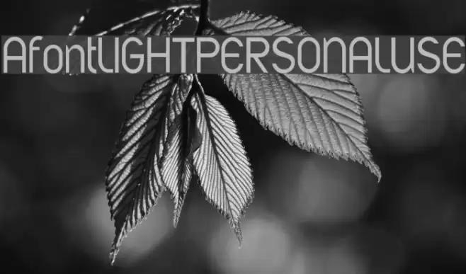 AfontLIGHTPERSONALUSE Font examples