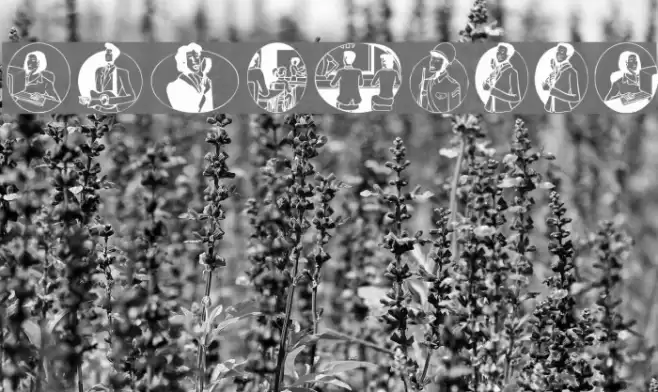 AfricEggs Font examples