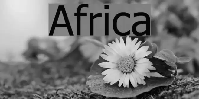 Africa Font examples