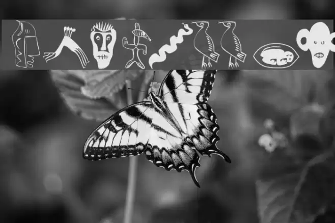 Africaans Font examples