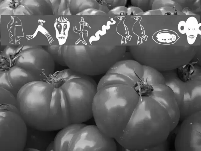 Africaans Font examples