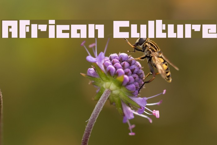 African Culture Font examples