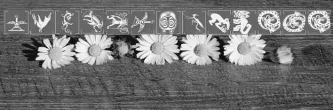 AfricanGhosts Font examples