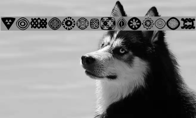 AfricanSymbols Font examples