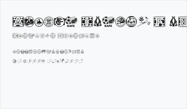 Afrika Images F mBizo Business Card