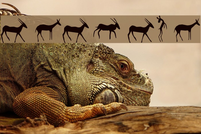 Afrika RockArt F Animals1 Regular Fonte examples