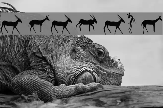 Afrika RockArt F Animals1 Regular Font examples