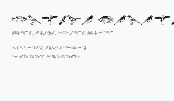 Afrika Safari F Gogga Business Card