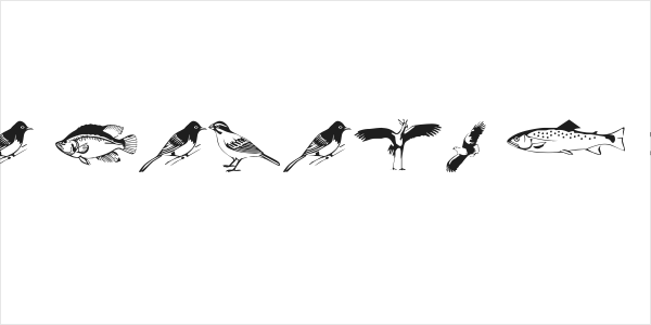 Afrika Safari F Gogga Logo