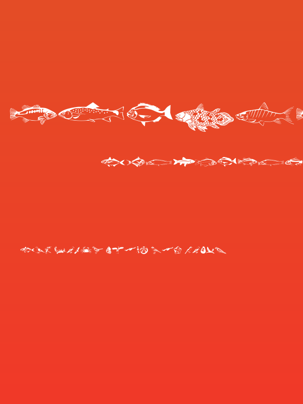 Afrika Safari F Gogga Poster