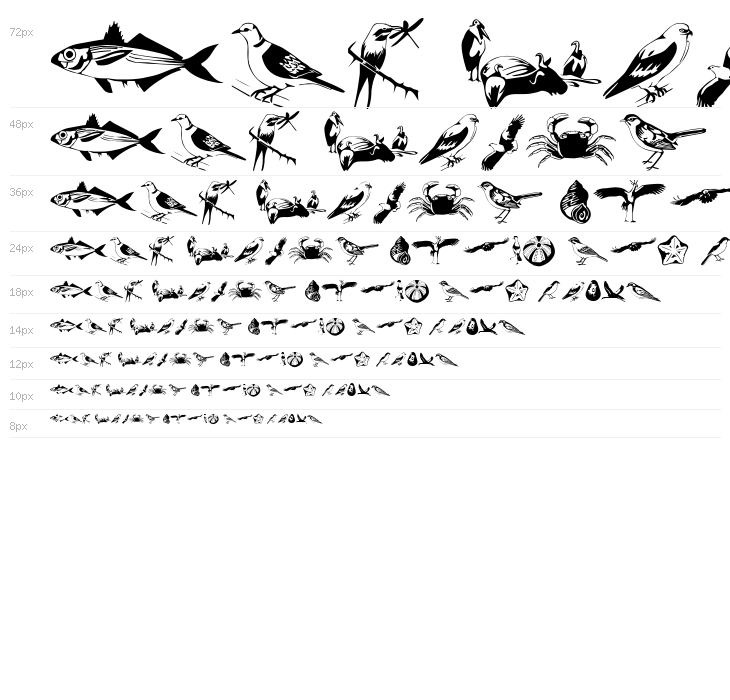 Afrika Safari F Gogga Waterfall