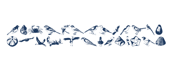 Afrika Safari F Gogga Lowercase