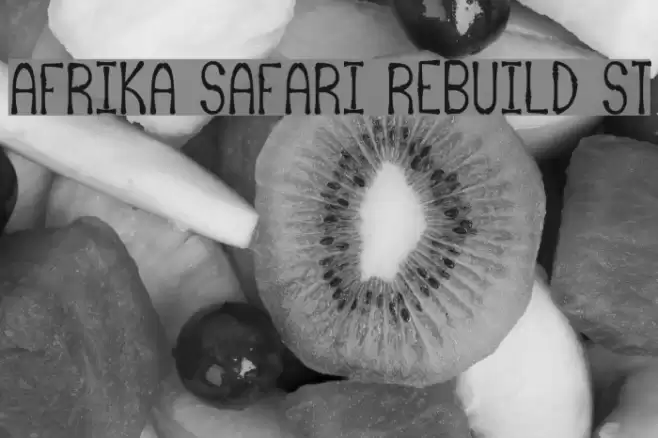 Afrika Safari Rebuild St Font examples