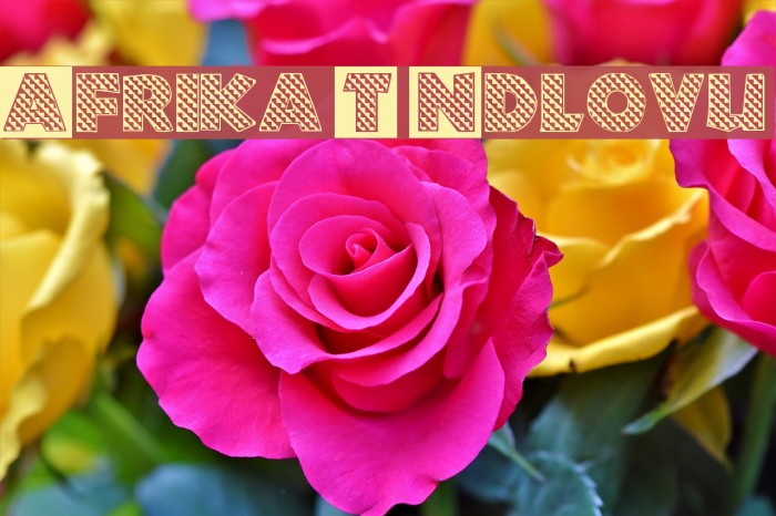 Afrika T Ndlovu Font examples