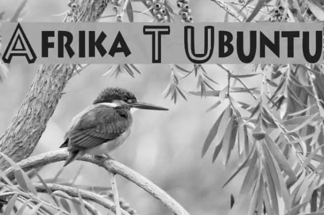 Afrika T Ubuntu Font examples