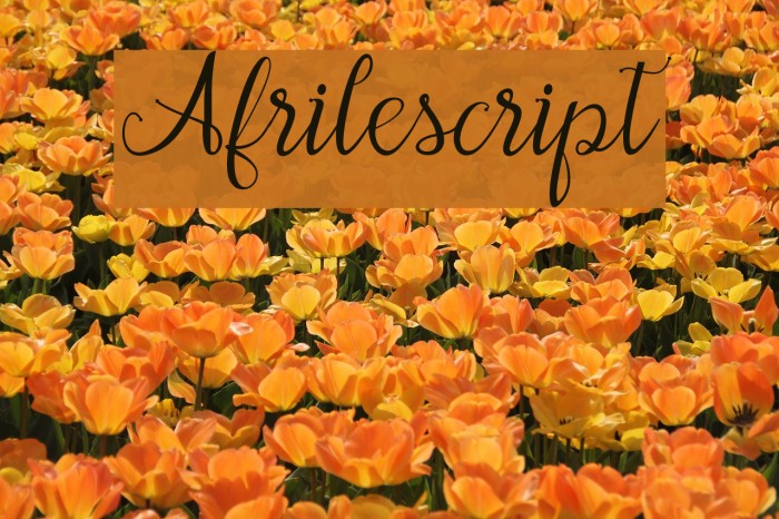 Afrilescript Example 2