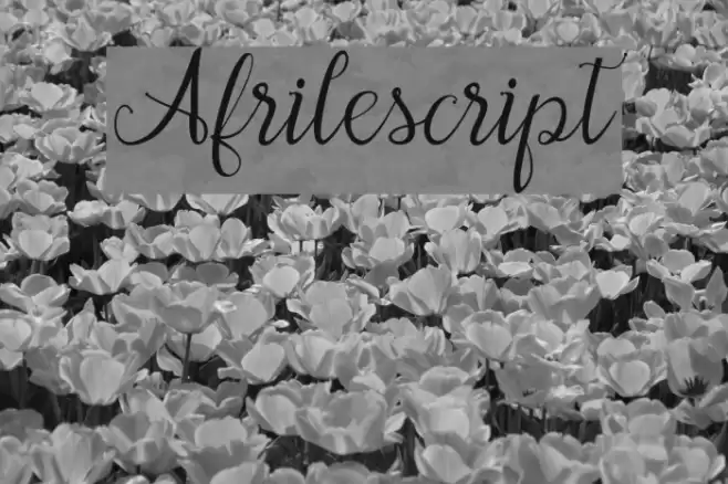 Afrilescript Font examples