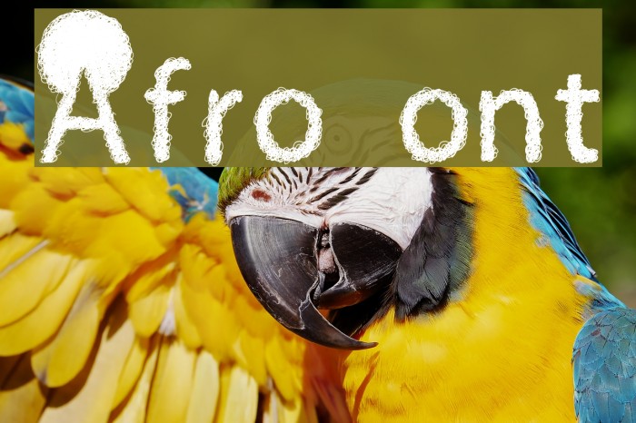 Afro Font examples