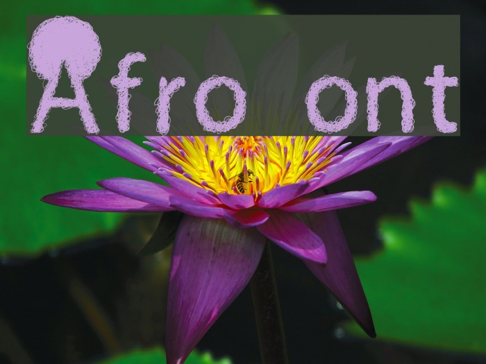 Afro Font examples