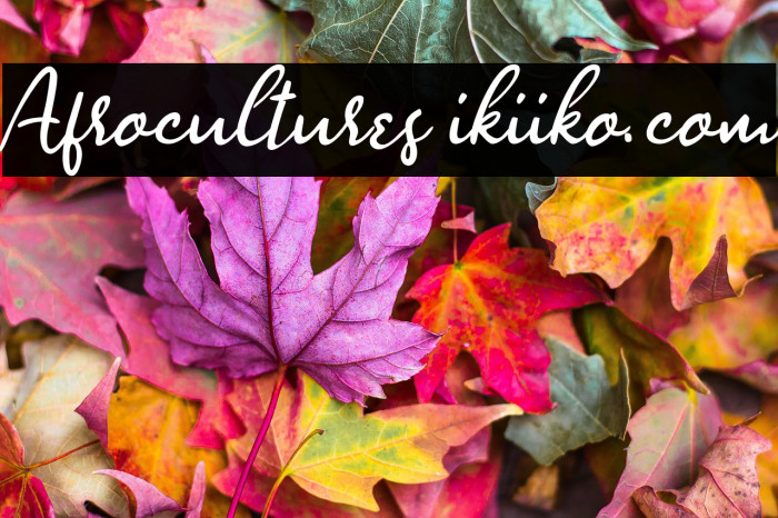 Afrocultures ikiiko.com Example 3