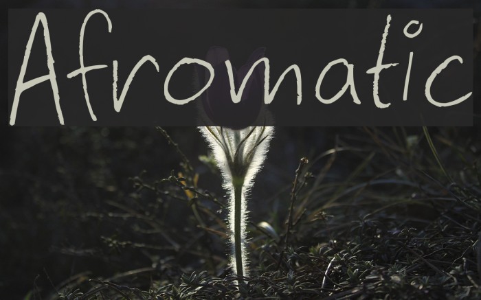 Afromatic Font examples