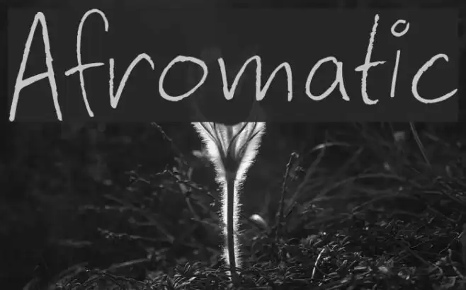 Afromatic Example 1