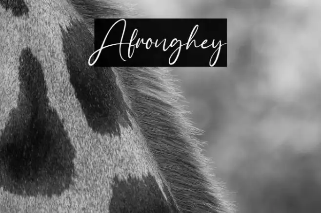 Afronghey Example 3