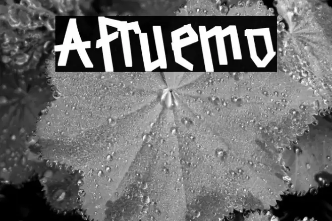 Afruemo Caratteri examples