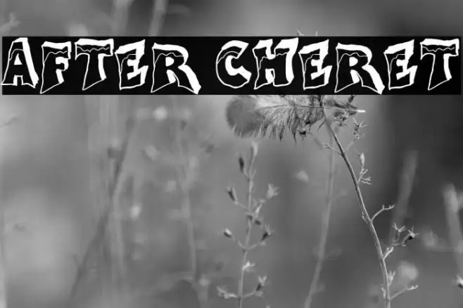 After Cheret Example 1