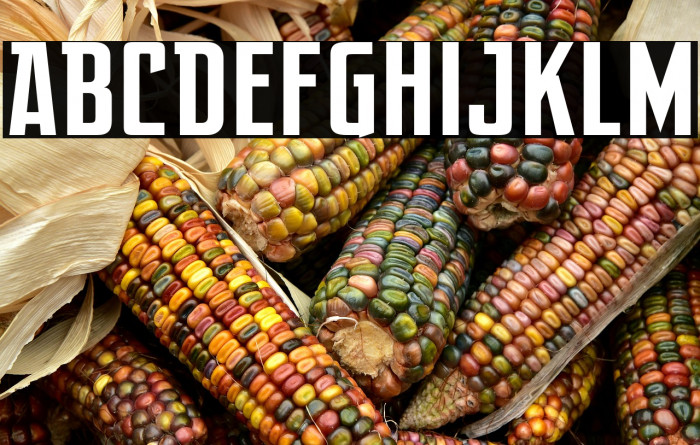 After Disaster Example 1