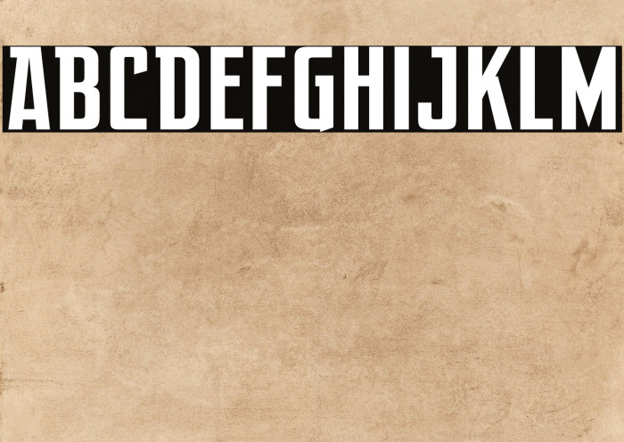 After Disaster Example 3