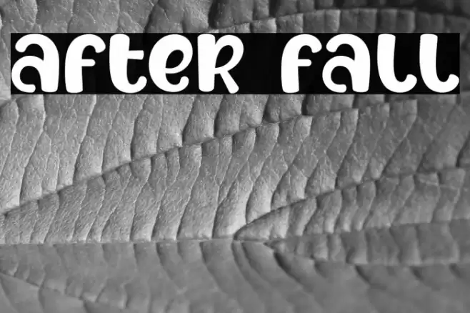 After Fall Fonte examples