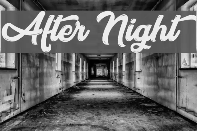 After Night Polices examples