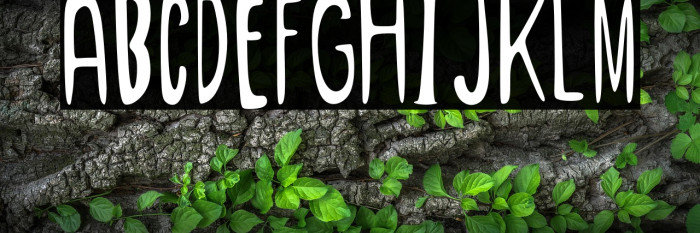 After Saturday Example 3