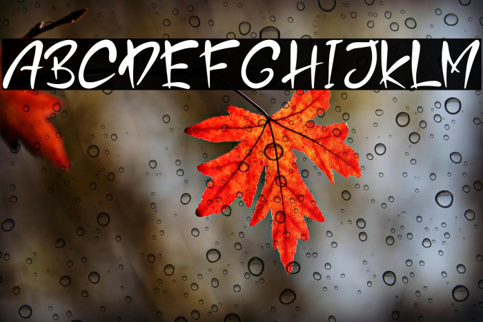 After Story Example 2