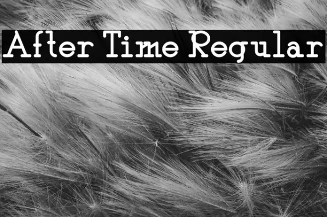 After Time Regular Font examples