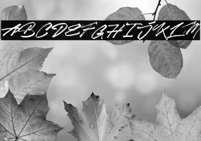 After Zero Font examples