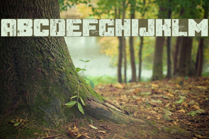After the Goldrush Font examples