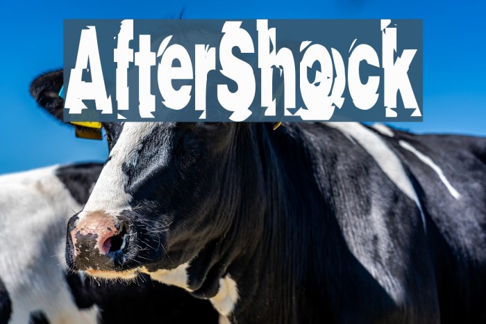 AfterShock لخطوط تنزيل examples