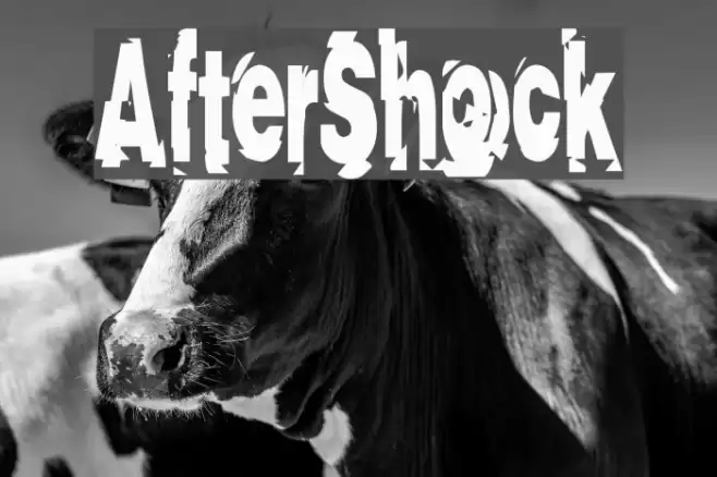 AfterShock خط examples
